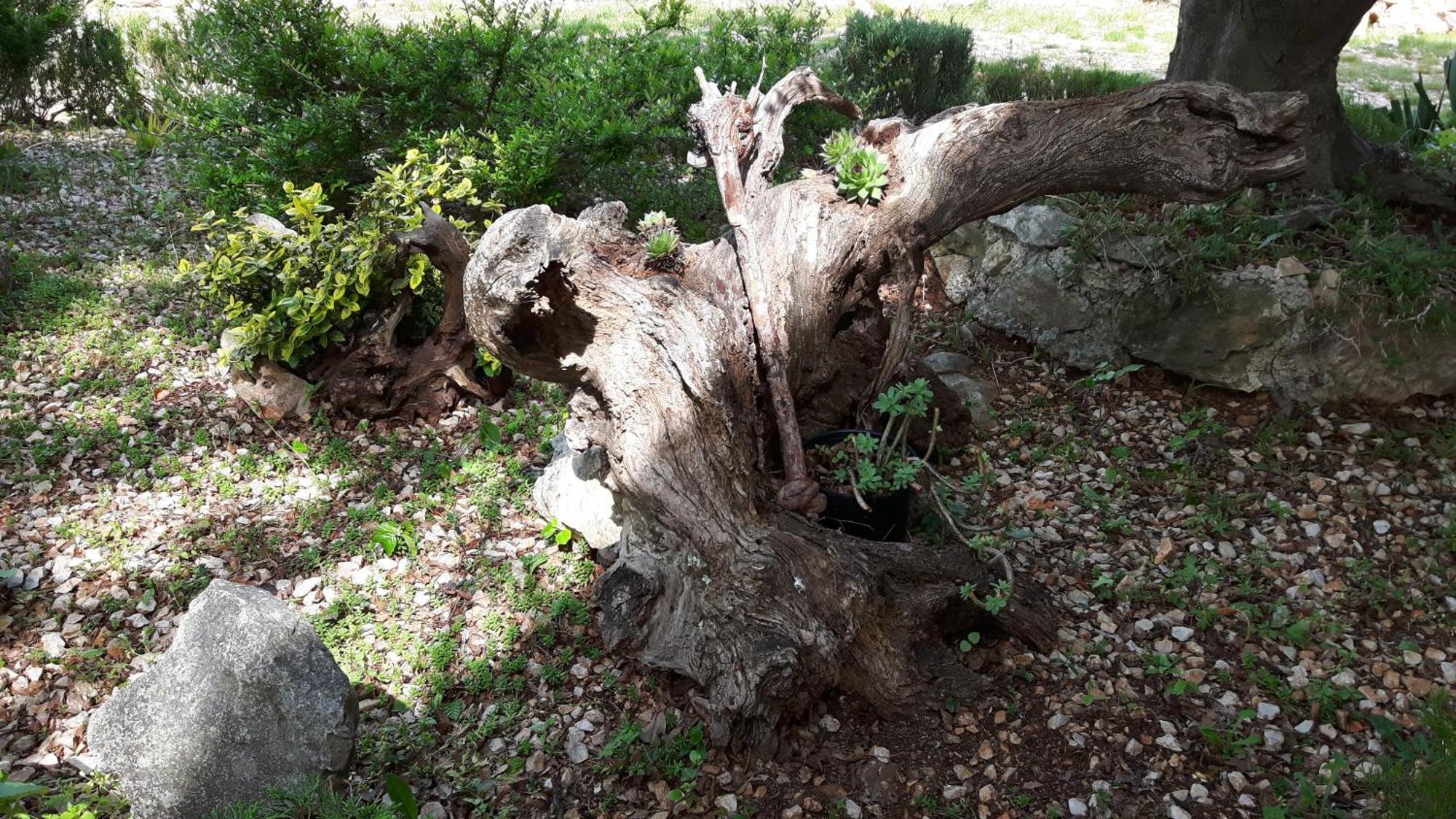 Apartmani Bilandzic-Krk Malinska Bilik gambar